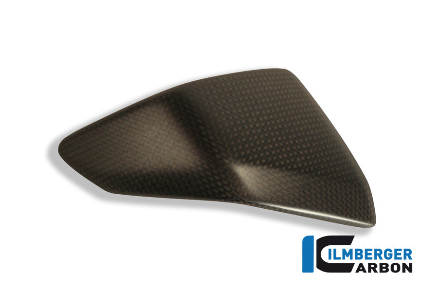 Ilmberger Carbon Left Side Fairing Insert Carbon