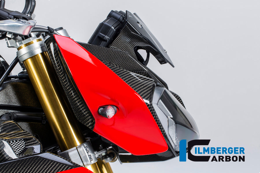 Ilmberger Carbon Side Cover On The Top Right Carbon