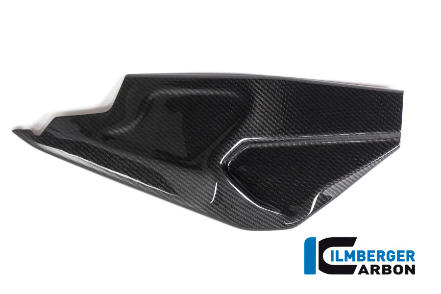 Ilmberger Carbon Swing Arm Cover Right Side BMW HP4 RACE