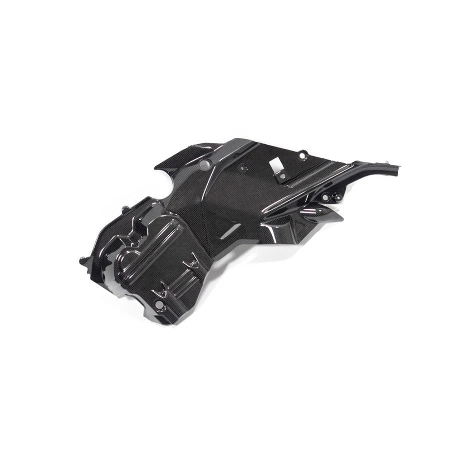 Ilmberger Carbon Fiber Right Side Engine Cover Ducati Diavel V4 - Gloss