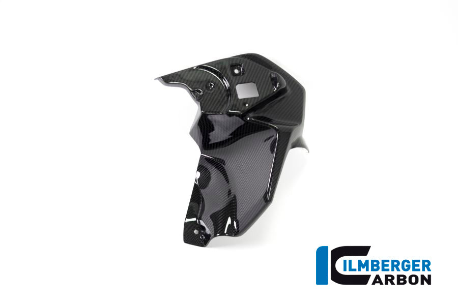 Ilmberger Carbon Airvent Cover Left Side BMW R 1250 GS From 2017