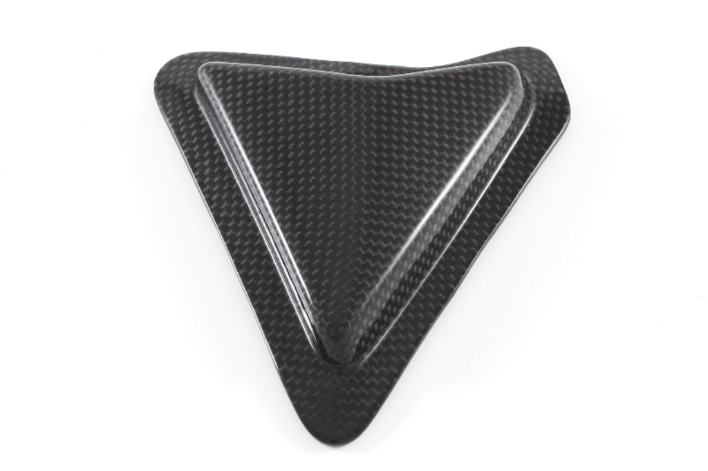 Fullsix Carbon Swingarm Guard - Slider