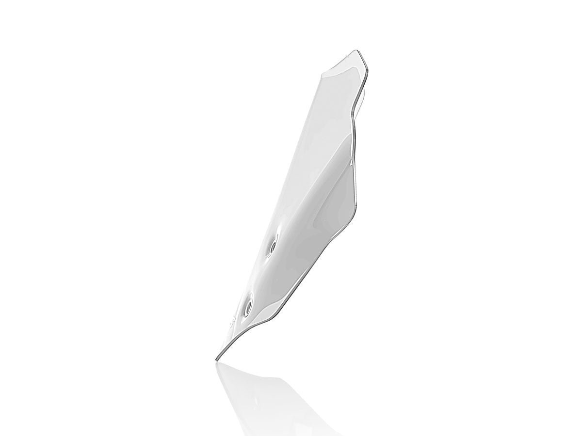 WRS Touring Windscreen BMW G 310 GS 2017-2024