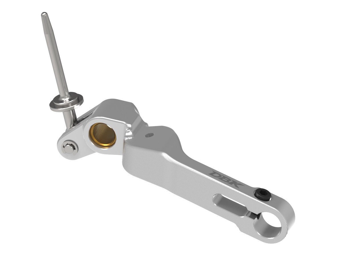 Ducabike DBK RPLF32 Streetfighter V4 MY 25 Brake Lever - SILVER