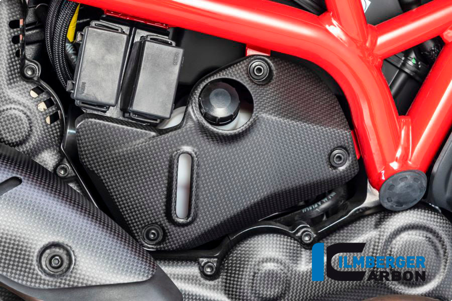 Ilmberger Carbon Cover Under The Frame Right Side