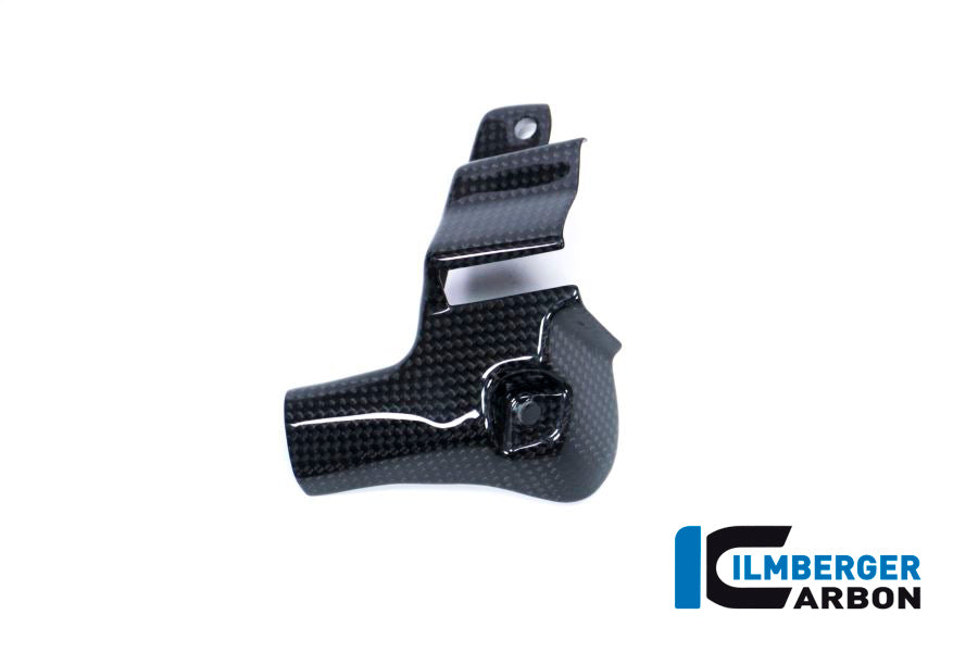 Ilmberger Carbon Exhaust Protection Set Ducati Panigale Streetfighter V4 / V4 S