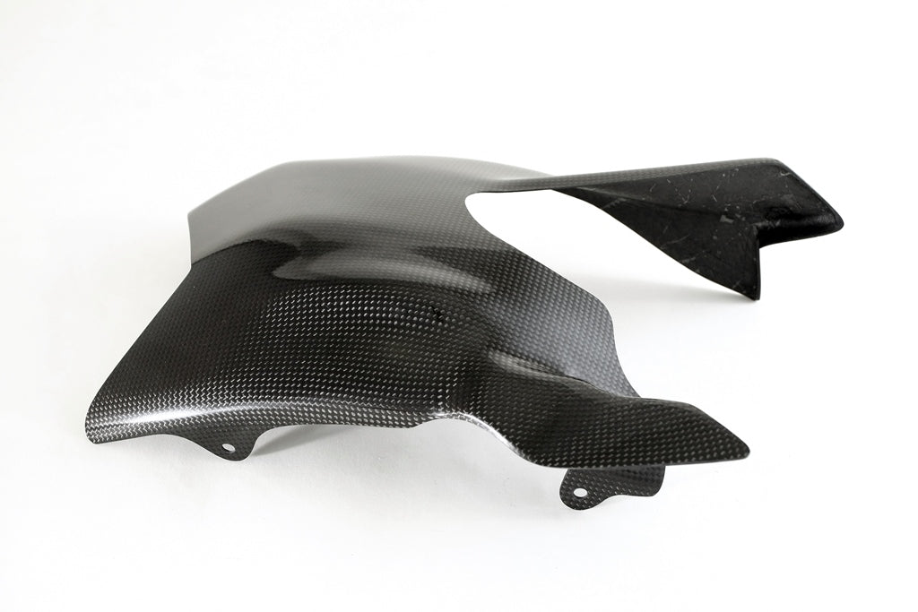 Fullsix Carbon Swingarm Guard