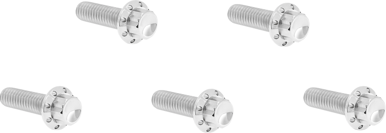 Arlen NESS Derby Cover Titanium 12-Point Bolt Kit