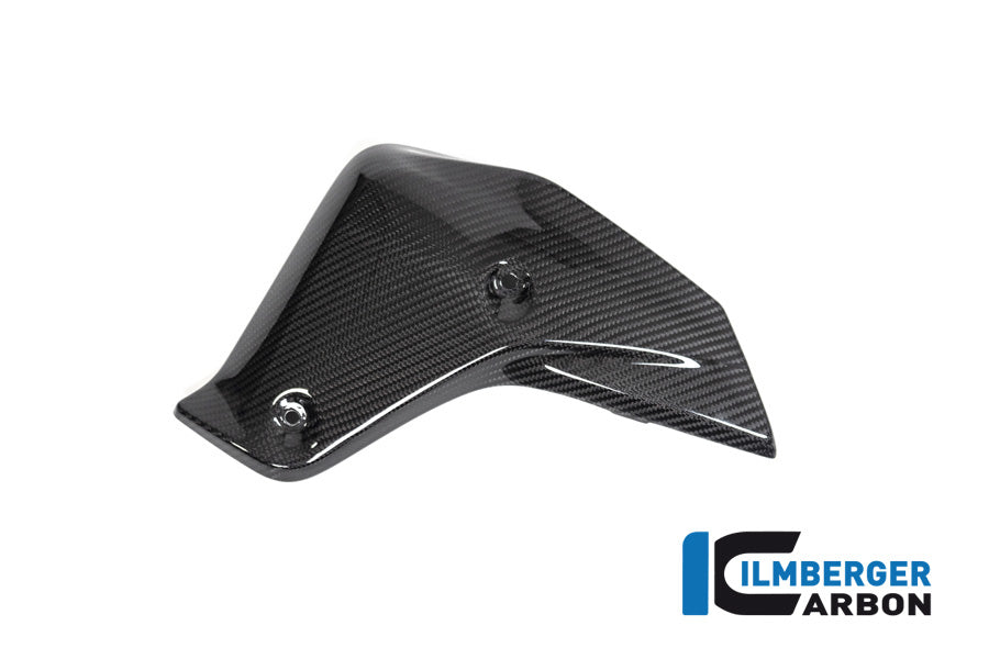 Ilmberger Carbon Watercooler Cover Left Side BMW R 1250 R