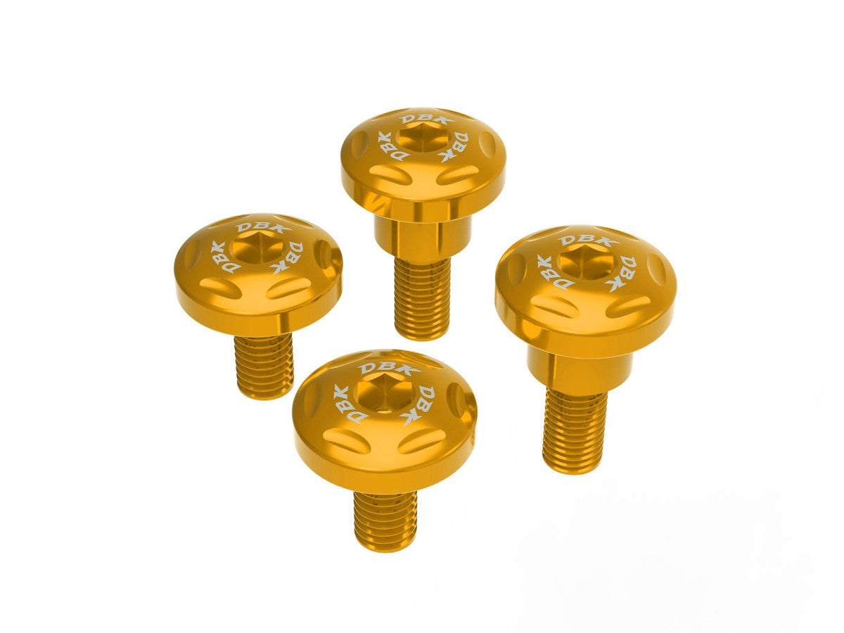 Ducabike DBK Ducati Streetfighter V2 2025 Radiator Frame Screw Kit