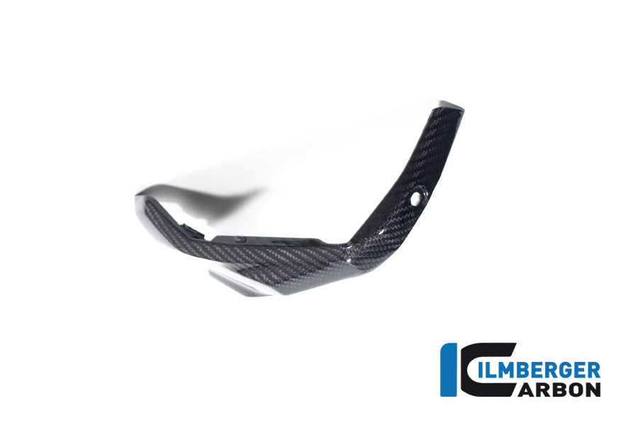 Ilmberger Carbon Spark Plug Access Cover Right BMW R 1300 GS - Gloss / Twill