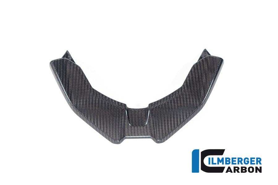 Ilmberger Carbon Front Beak BMW M 1000 XR 2024