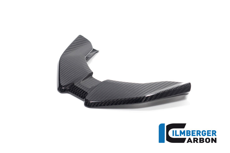 Ilmberger Carbon Front Beak BMW M 1000 XR 2024
