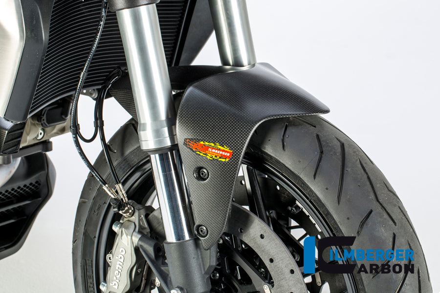 Ilmberger Carbon Front Fender Ducati Monster 1200 - Matte