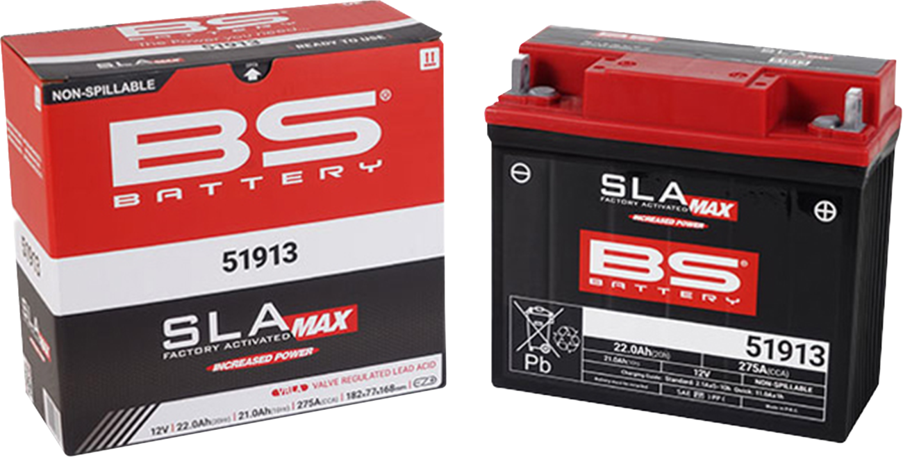 BS Battery Battery - 51913