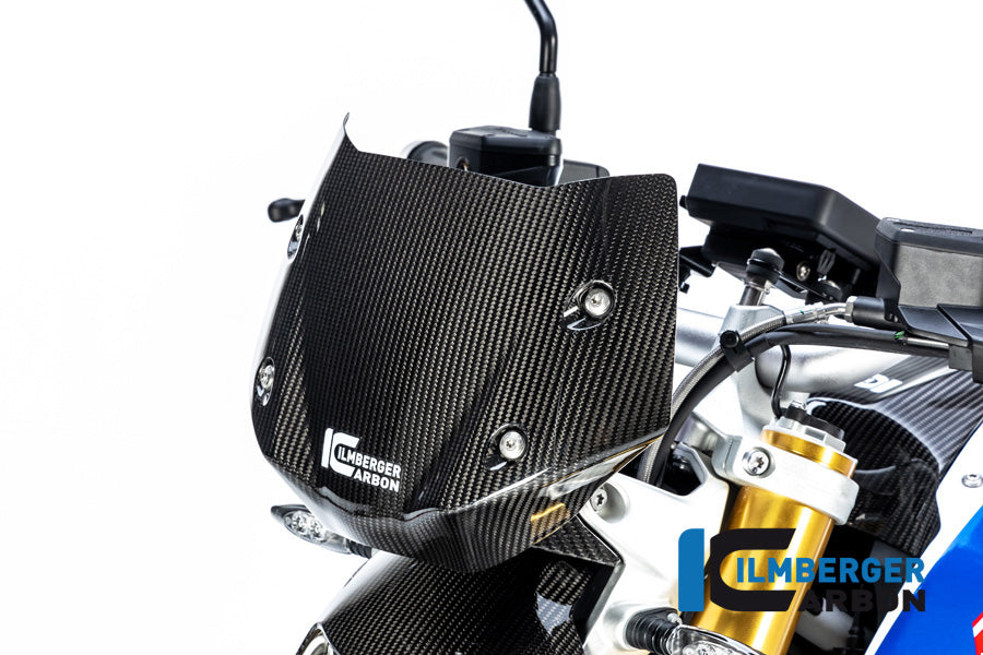Ilmberger Carbon Windshield BMW R 1250 R 2019 - 2022