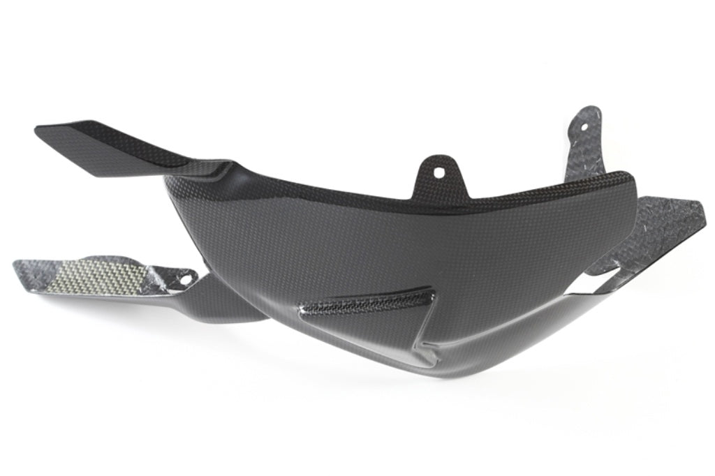 Fullsix Carbon Swingarm Guard - Onepiece