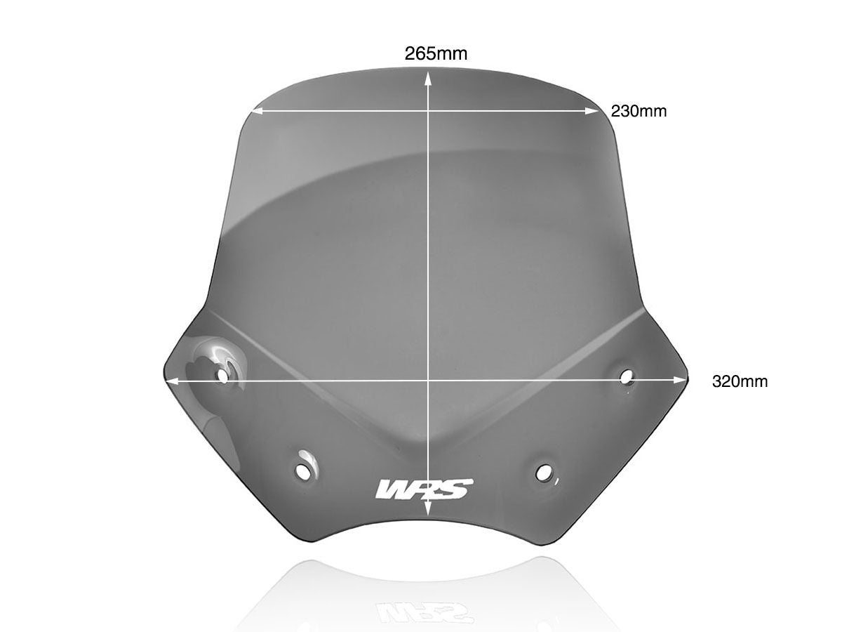 WRS Sport Windscreen BMW R 1200 R 2006-2014