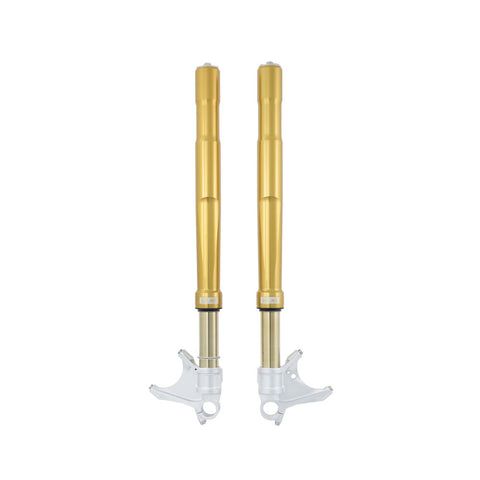 Ohlins FGRT 231 Road & Track Gold Front Forks for Panigale V2