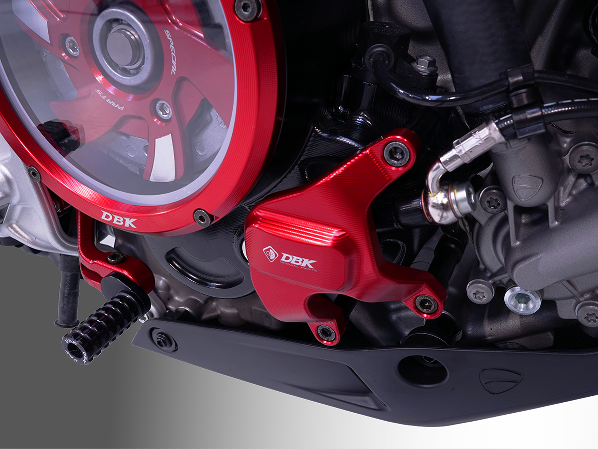 Ducabike DBK SLI18 HM 698 Mono Engine Protection Kit