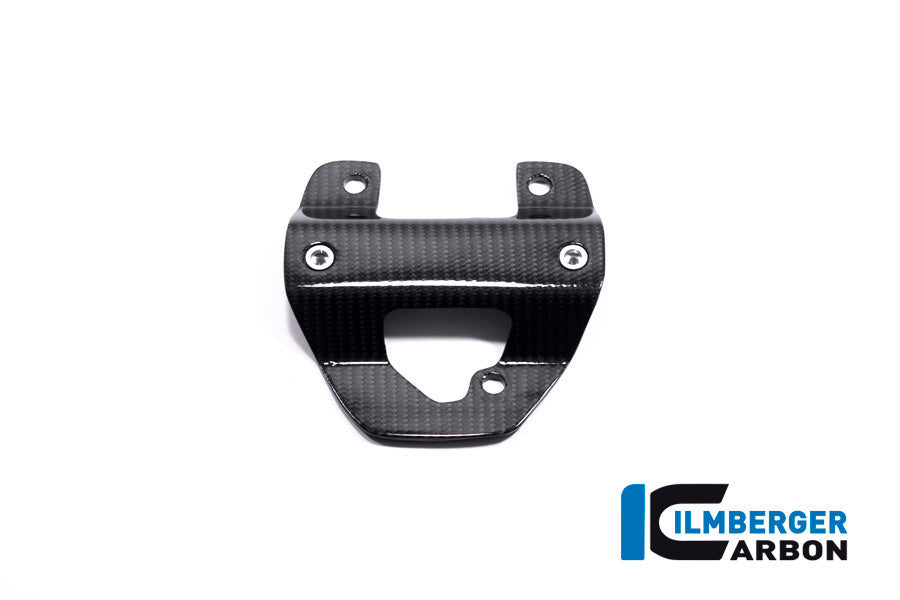 Ilmberger Carbon Sump Guard / Undertray BMW R 1250 GS