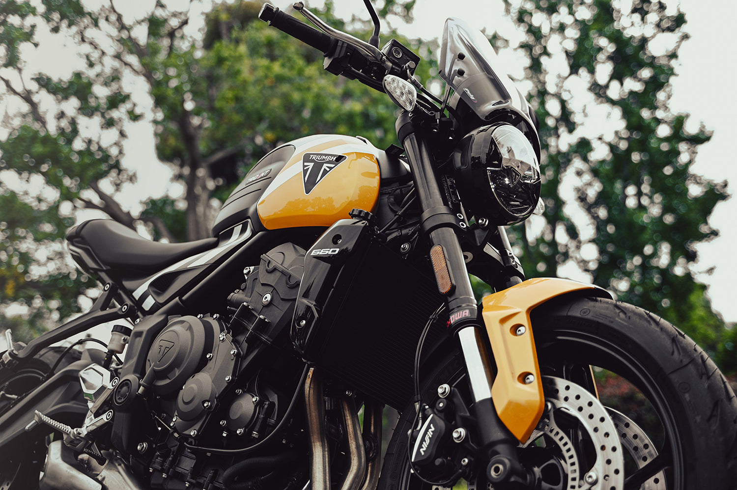 BT Moto Trident 660.jpg