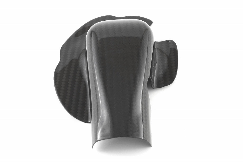 Fullsix Carbon Water Pump Protection Guard