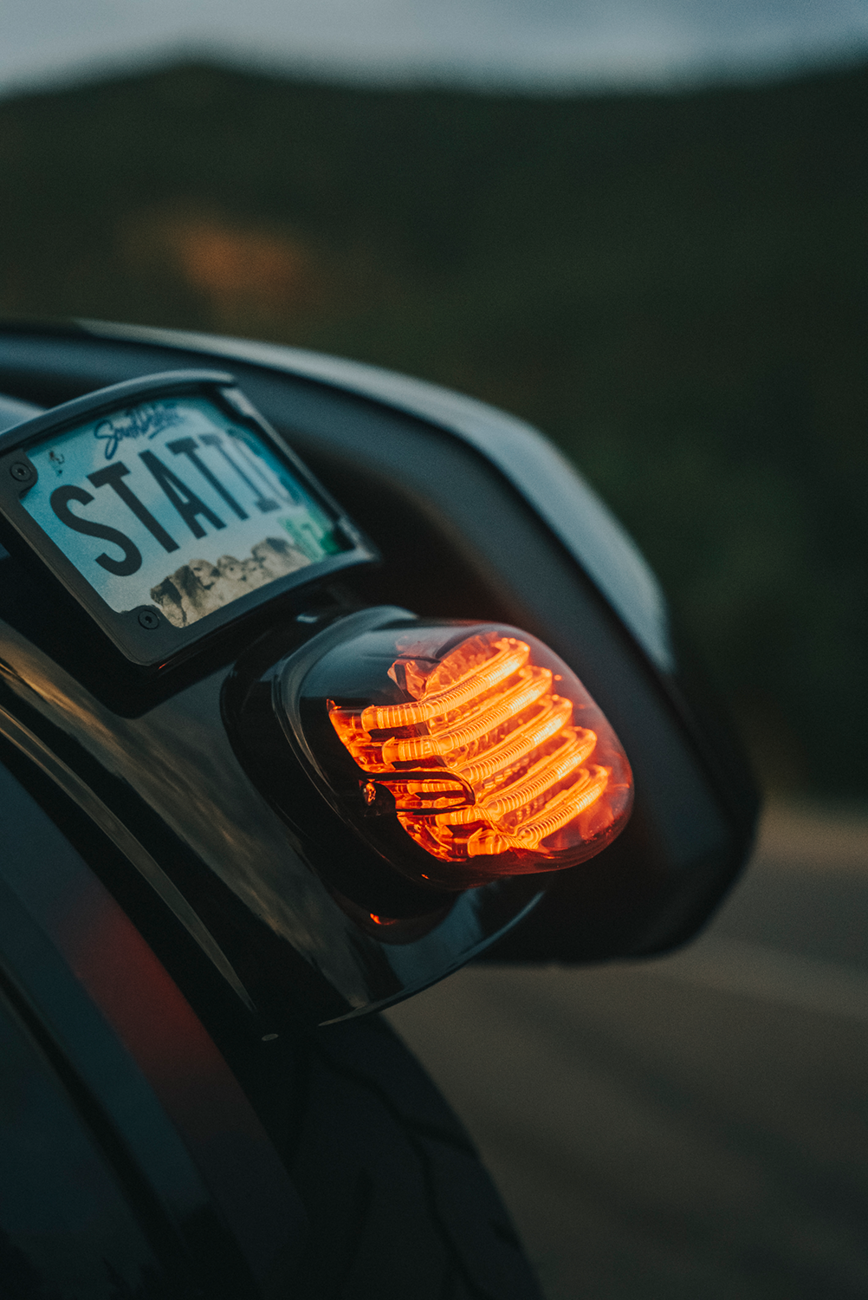 Custom Dynamics ProBEAM® Low-Profile LED Taillight Kit — With No Tag Light