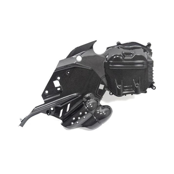 Ilmberger Carbon Fiber Left Side Engine Cover Ducati Diavel V4
