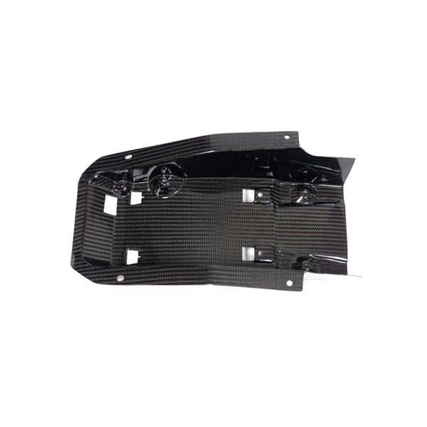 Ilmberger Carbon Fiber One Piece Tail Fairing with Tank Cover for S1000RR 2020