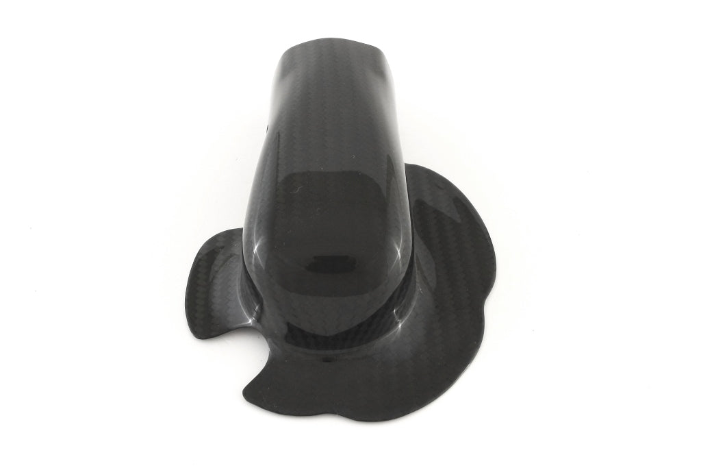Fullsix Carbon Water Pump Protection Guard