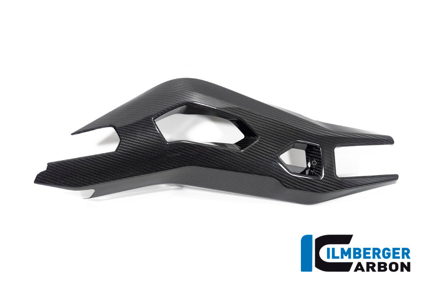 Ilmberger Carbon Swing Arm Cover Left Side BMW S 1000 XR From MY 2020