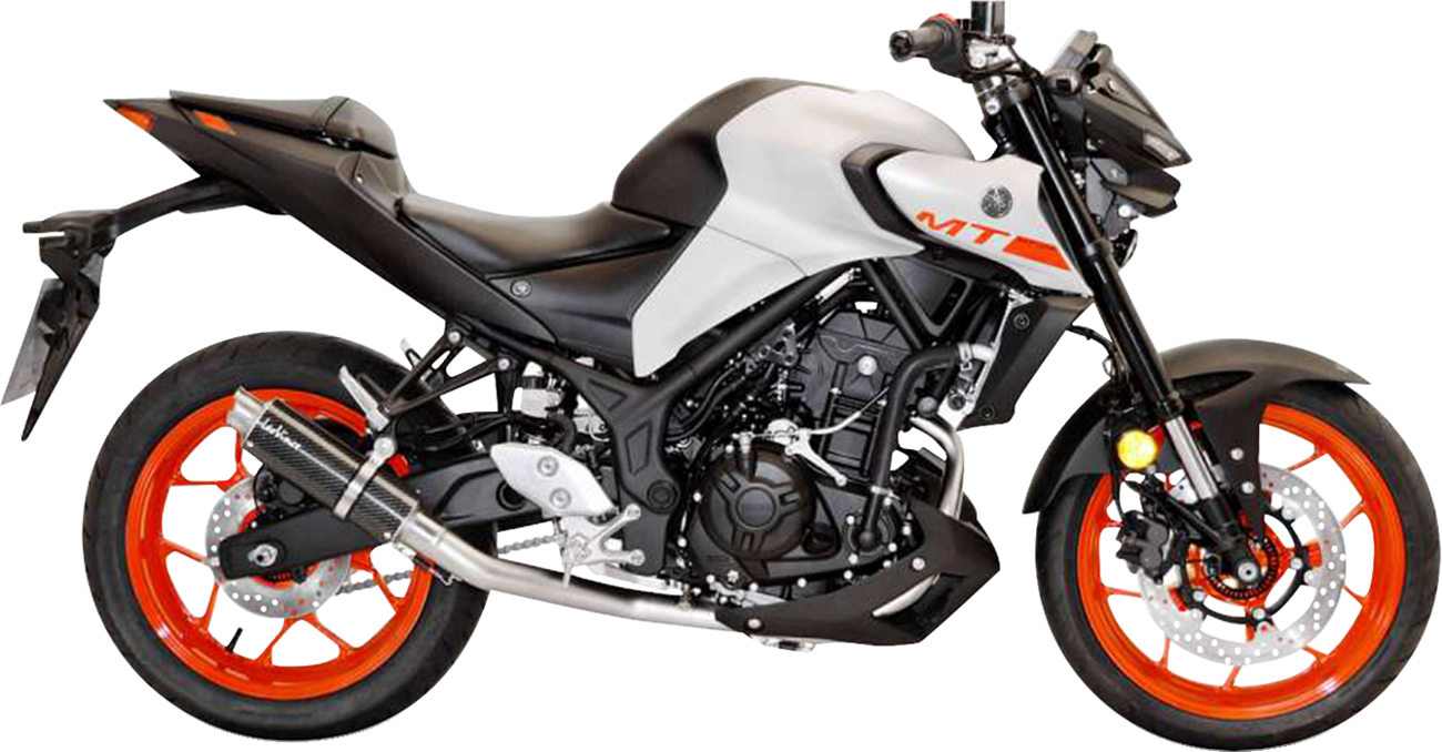 LeoVince GP Corsa Exhaust