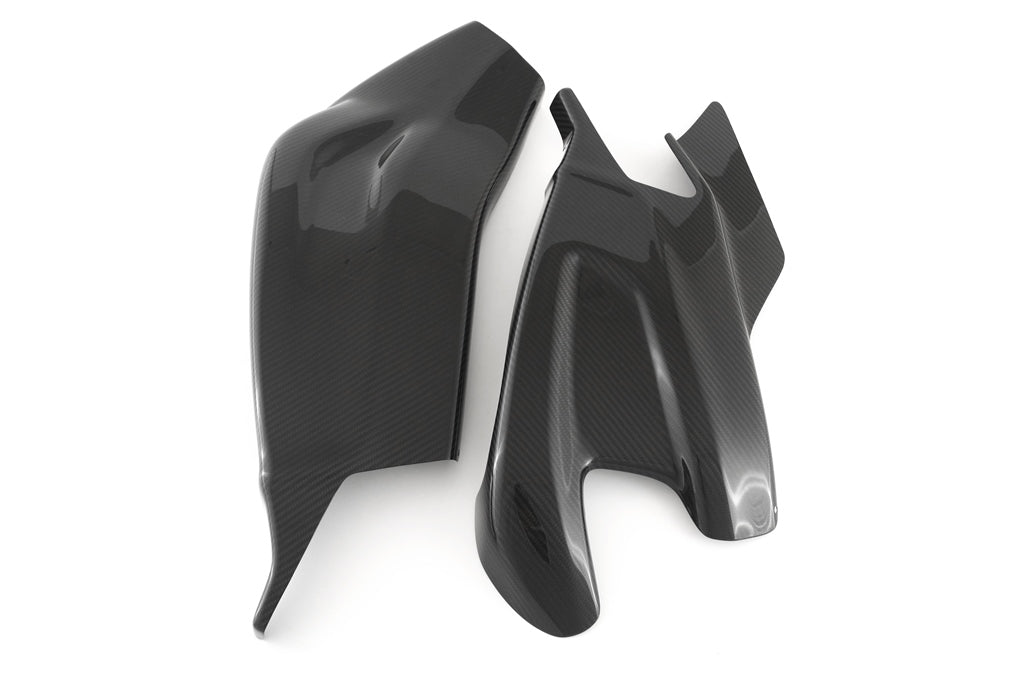 Fullsix Carbon Swingarm Guard - Set