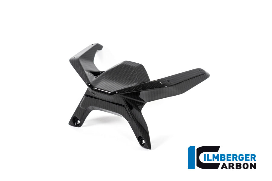 Ilmberger Carbon Windshield BMW R 1250 R 2019 - 2022