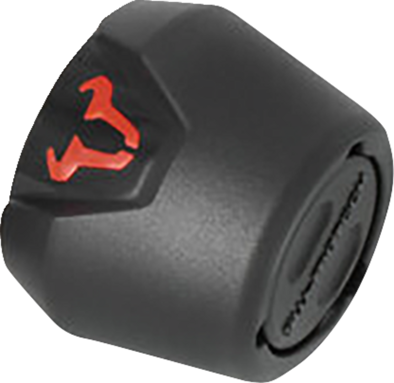 SW-Motech Axle Sliders - Rear - Set - BMW