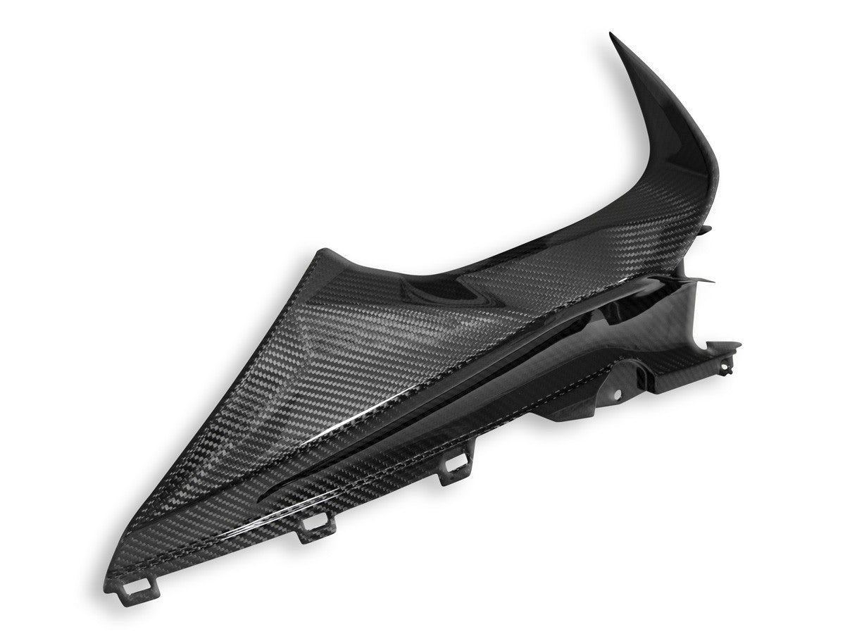 Ducabike DBK CRB113L BMW S1000RR Glossy Carbon Infil Panel