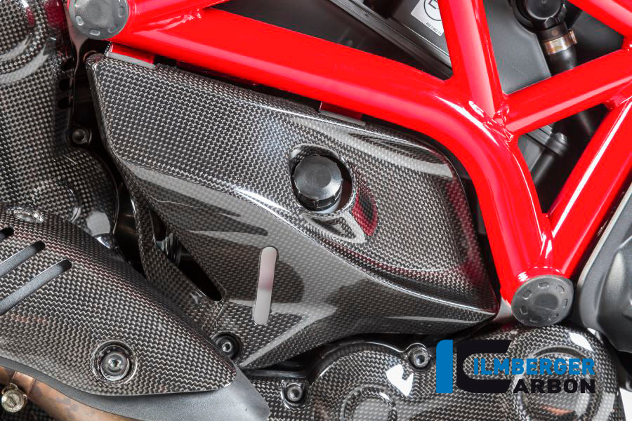 Ilmberger Carbon Cover Under The Frame Right - Gloss