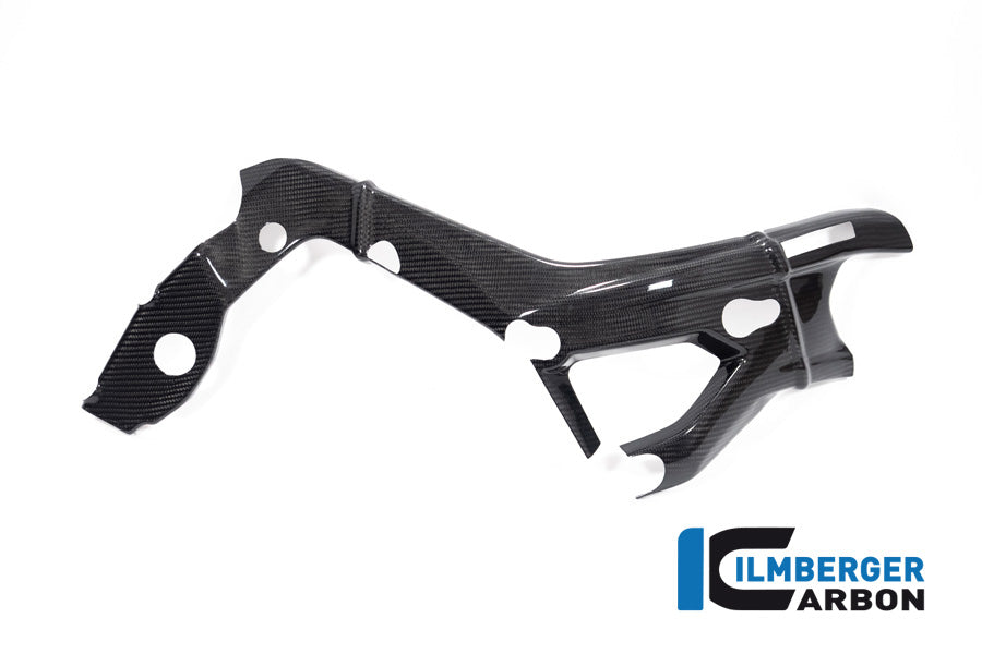 Ilmberger Carbon Frame Cover Right Side BMW S 1000 R MY From 2021 / M 1000 R MY From 2023