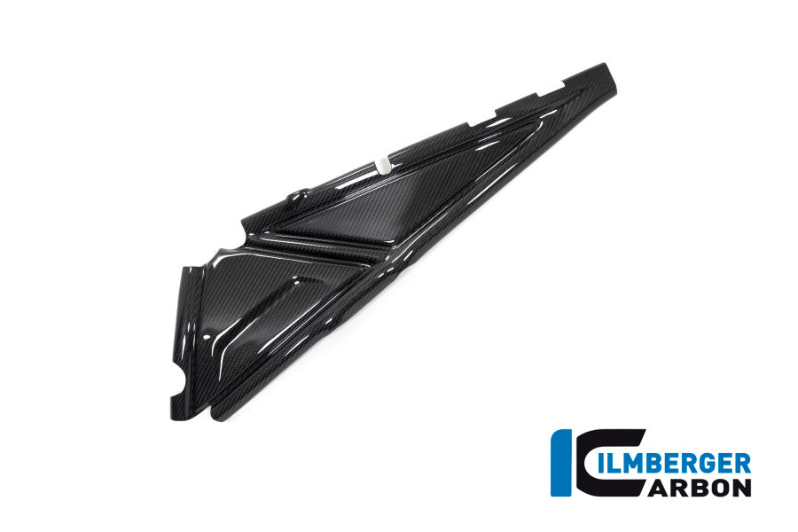 Ilmberger Carbon Subframe Cover Left Side BMW R 1250 GS