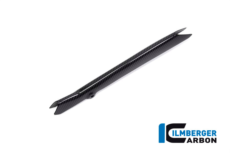 Ilmberger Carbon Brake-Pipe Cover BMW R 1250 GS