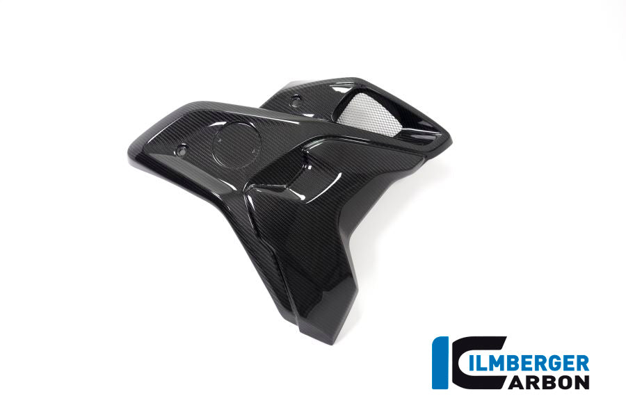 Ilmberger Carbon Airtube Right Incl Flap (2pieces) BMW R 1250 GS