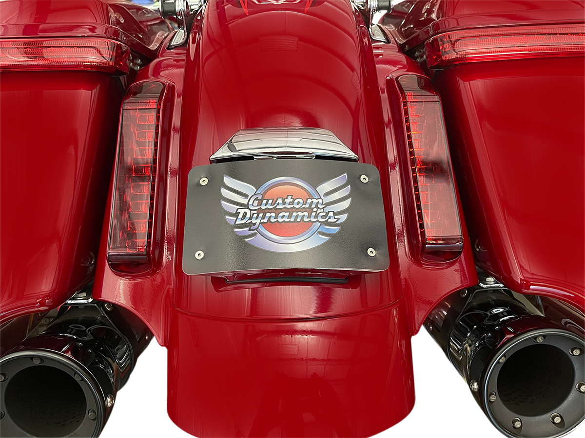 Custom Dynamics Radius License Plate Mount Assembly For CVO™
