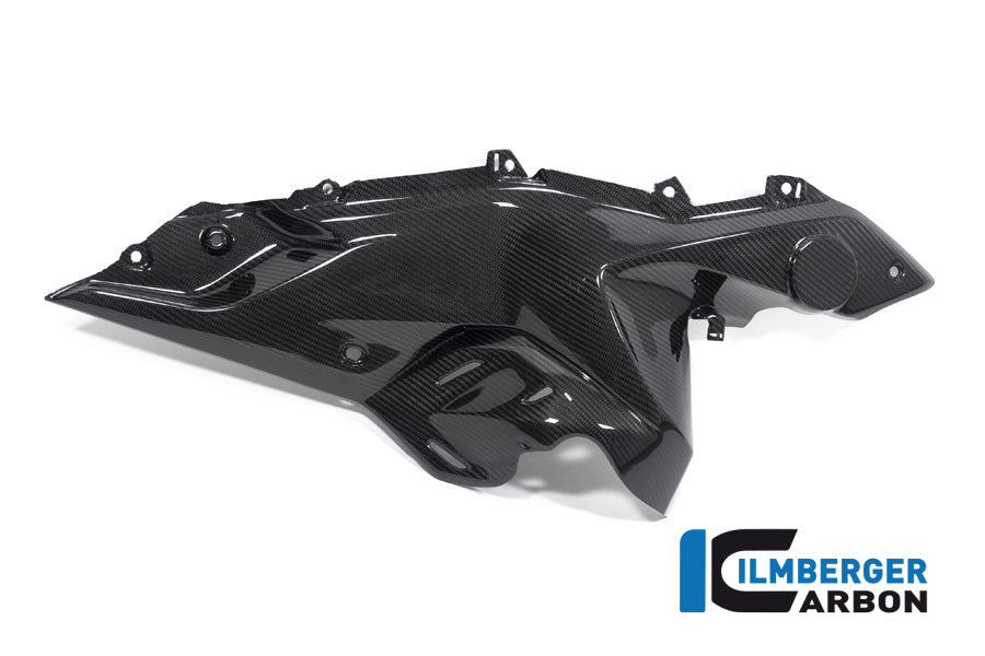 Ilmberger Carbon Side Panel Under The Tank Right Side BMW R 1250 RS