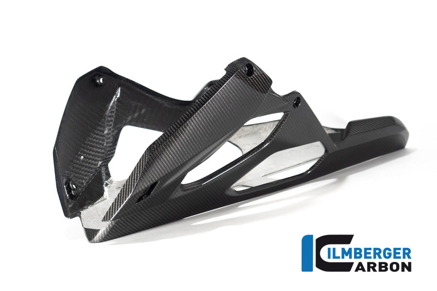 Ilmberger Carbon Bellypan BMW S 1000 R MY From 2021 / M 1000 R MY From 2023