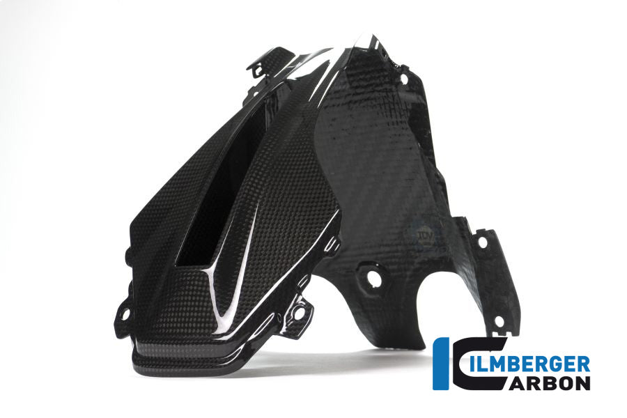Ilmberger Carbon Verkleidungsmitterteil Oben BMW R1200RS'15