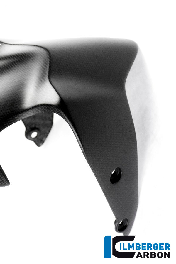 Ilmberger Carbon Front Fender Ducati Monster 1200 - Matte
