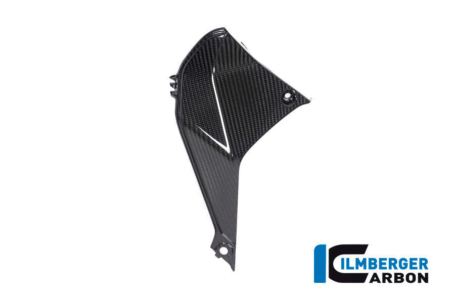 Ilmberger Carbon Cover Near The Instrument Left Side BMW R 1250 RS´19