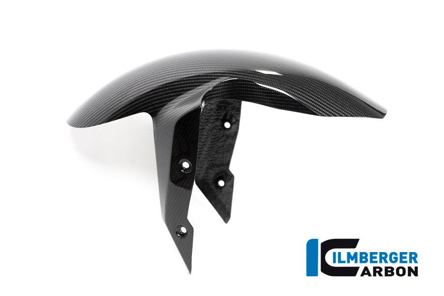 Ilmberger Carbon Front Fender BMW R 1250 R MY From 2019