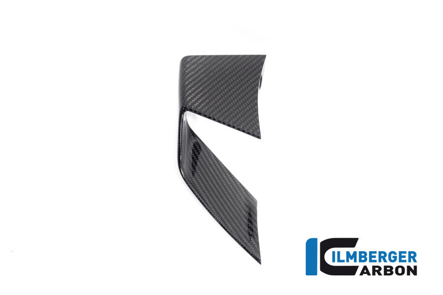 Ilmberger Carbon Fairing Side Winglet Left Side BMW S 1000 R MY From 2021